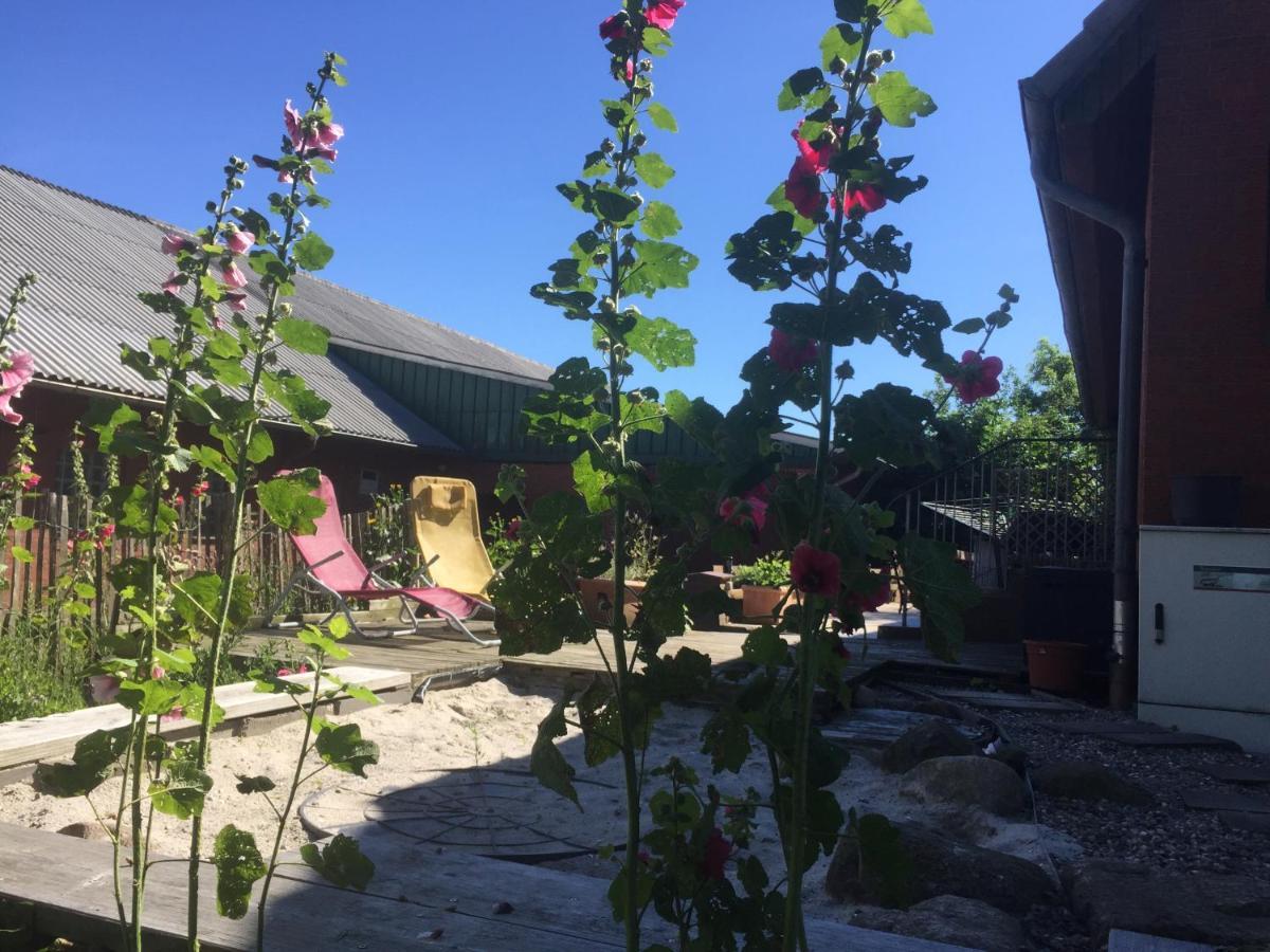 Peanuts Hostel&meer